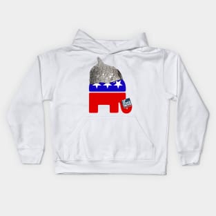 The Conspiracy Party Republican Tin Foil Hat Club Kids Hoodie